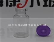 ?？抵行耘鸸璨Ａ?河北中性硼硅玻璃瓶-藥用中性硼硅玻璃瓶
